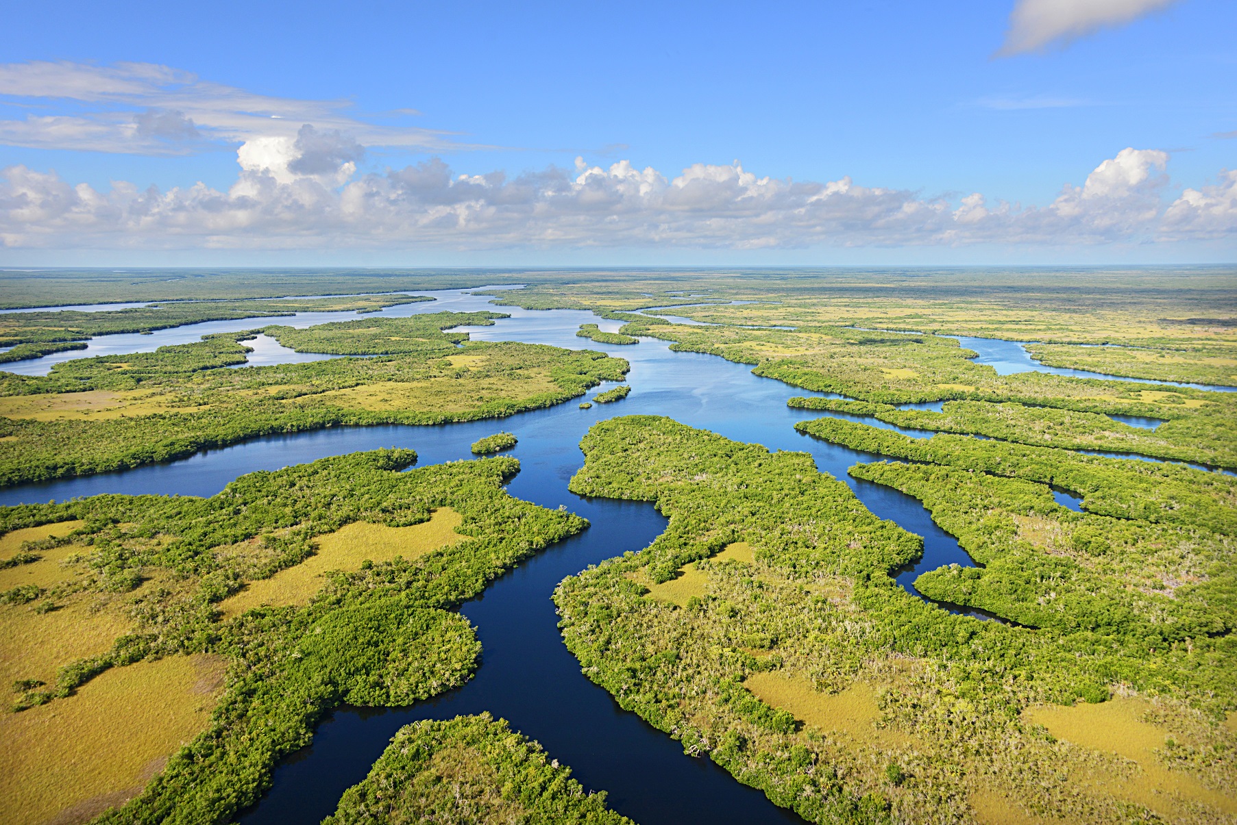 Blog Toundra Voyages - Everglades National Park, Fl.