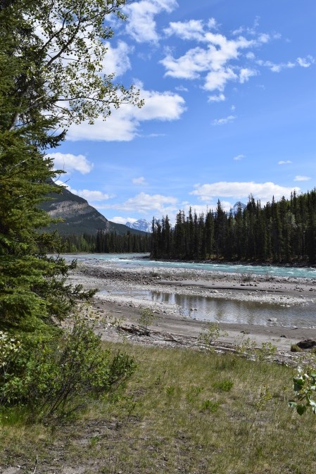 blog toundra voyages - icefield parkway 4