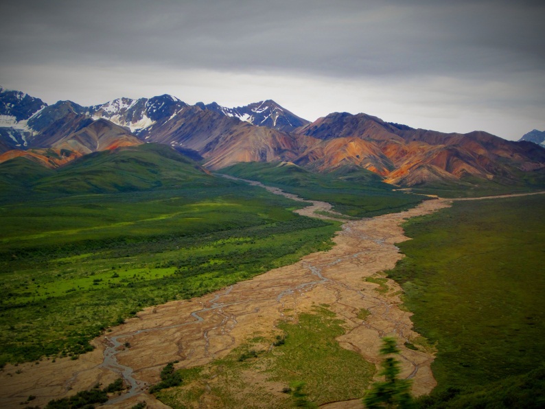 Blog Toundra Voyages - Alaska - denali parc