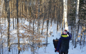 promenade en raquette dans la forêt d'outaouais