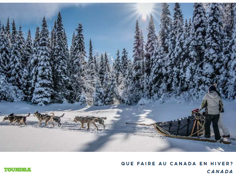 Que Faire Au Canada En Hiver Toundra Voyages