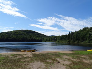 lac