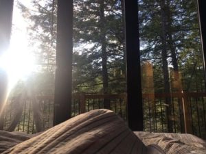 foret