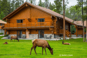 Becker’s Chalet - Toundra Voyages