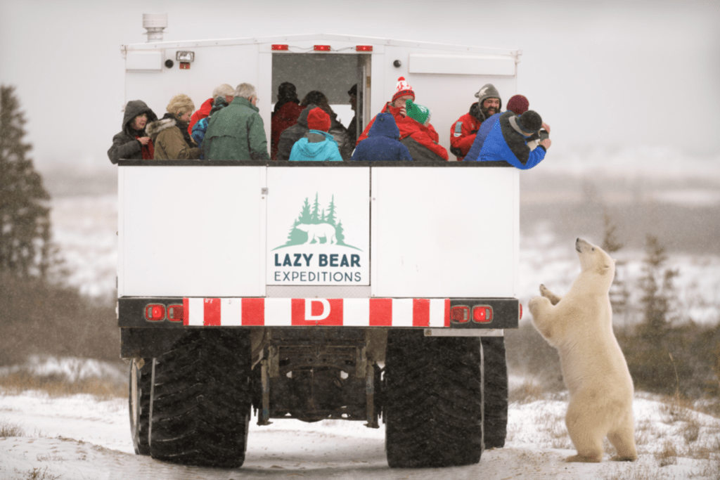 Lazy Bear Lodge & Expeditions (Churchill)