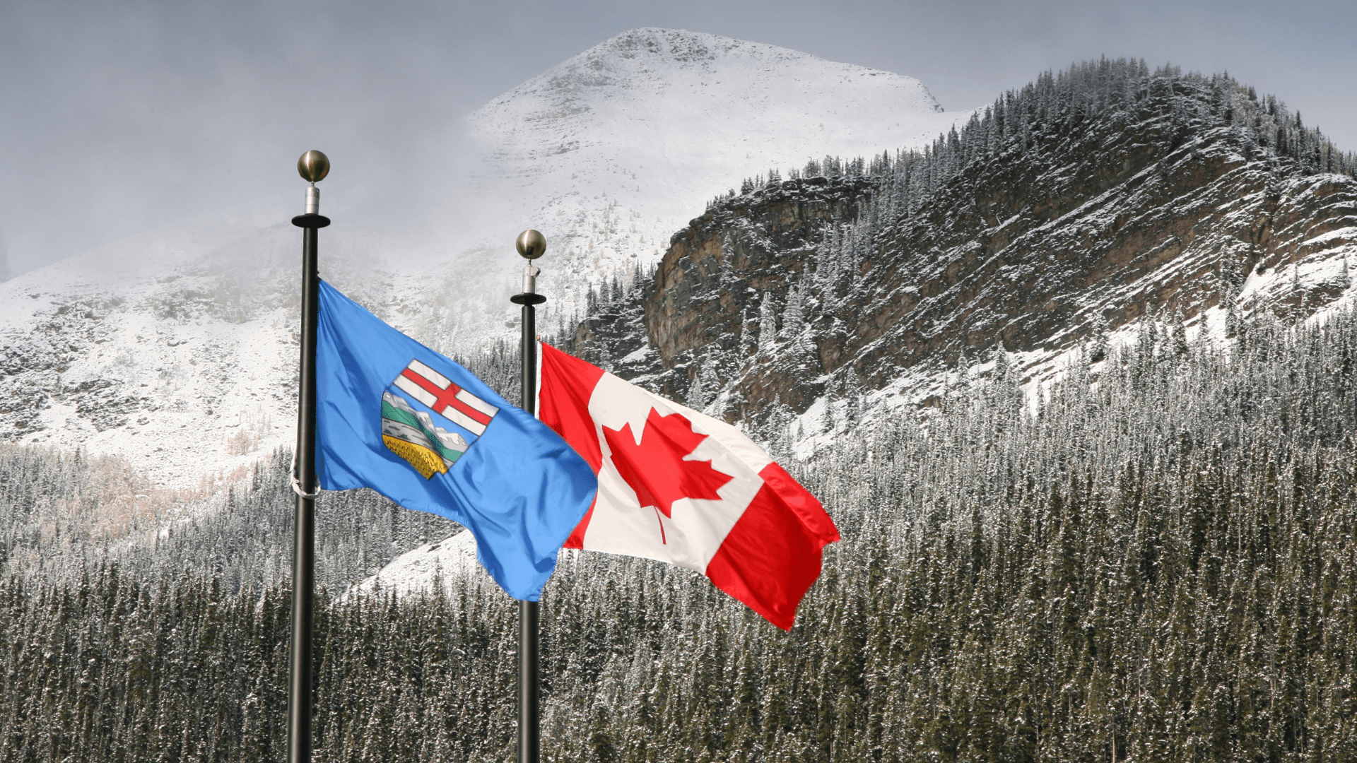 Drapeaux du Canada et de l'Alberta